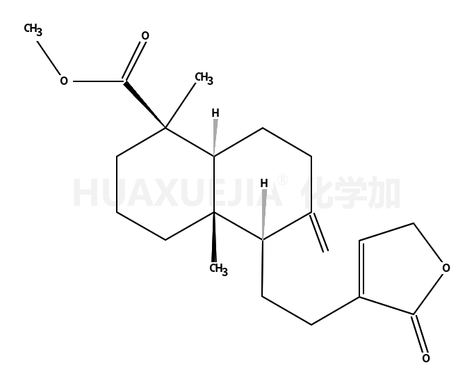 红松内酯