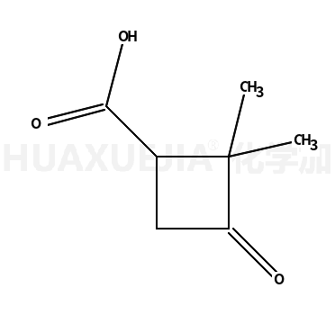 2,2-dimethyl-3-oxocyclobutane-1-carboxylic acid