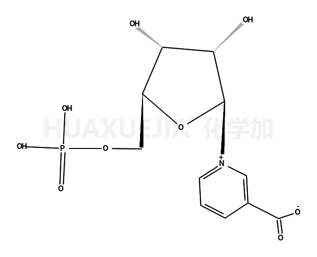 β-NicotinicAcidMononucleotide