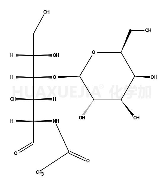 N-乙酰-D-乳糖胺