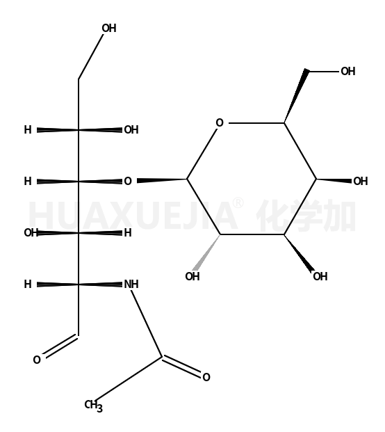 N -乙酰- D- 乳糖胺