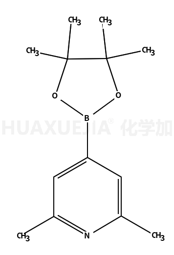 2,6-二甲基吡啶-4-硼酸频那醇酯
