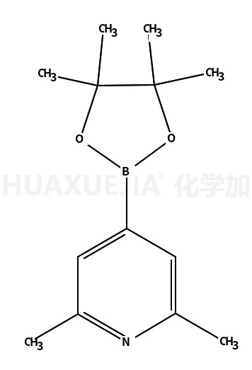 2,6-二甲基吡啶-4-硼酸頻那醇酯