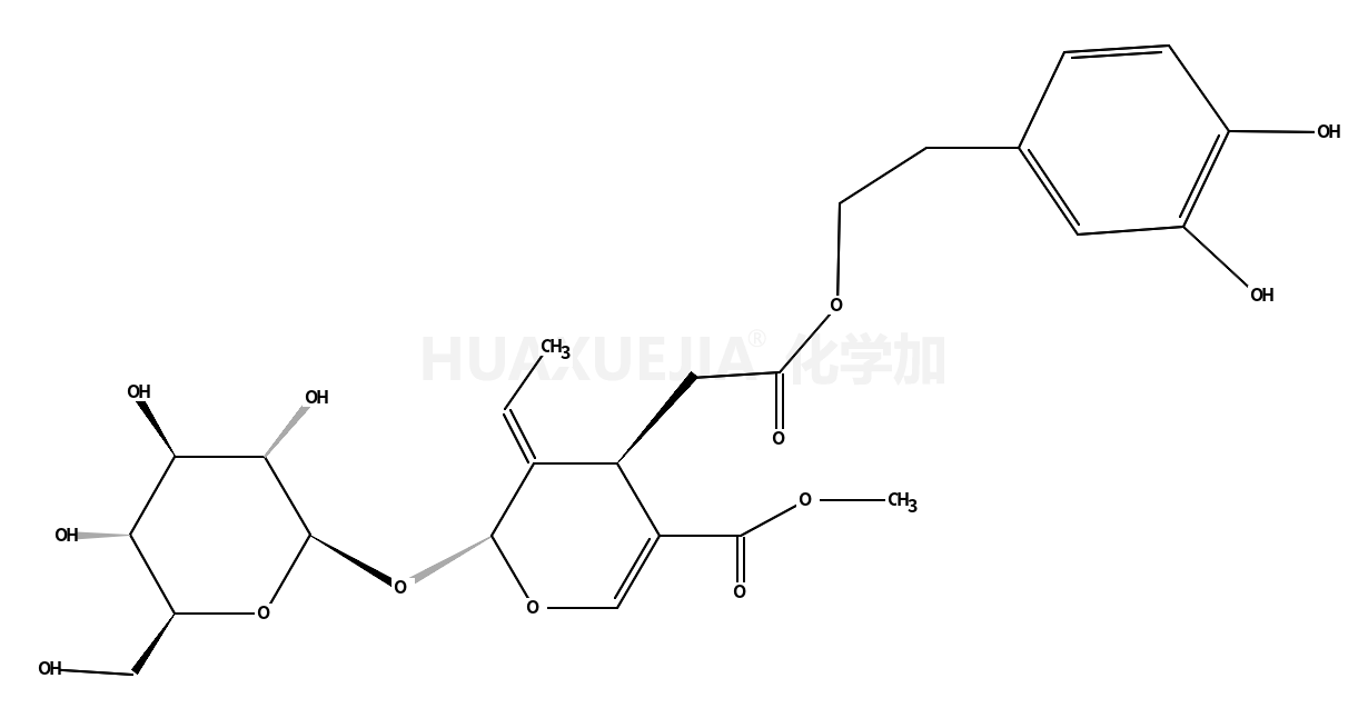 齊墩果苷、橄欖苦素