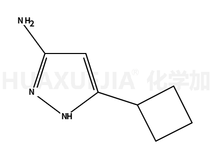 3-氨基-5-环丁基-1H-吡唑
