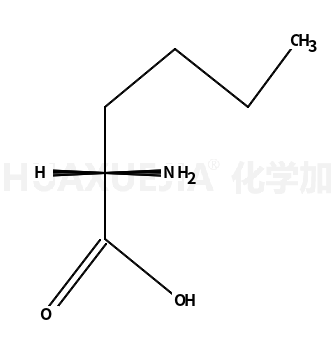 D-正亮氨酸