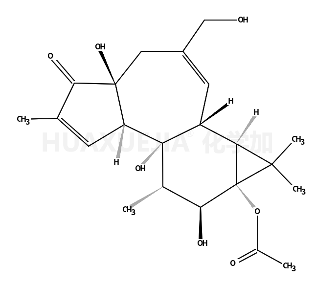 13-乙酸佛波醇