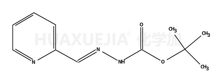2-(吡啶-2-基亚甲基)肼羧酸叔丁酯
