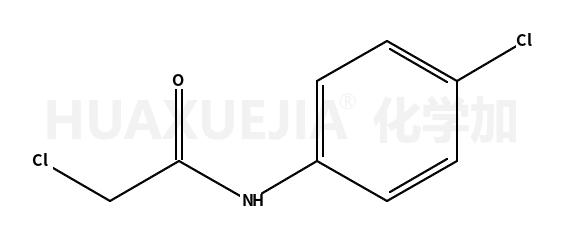 N-(4-氯苯基)-2-氯乙酰胺