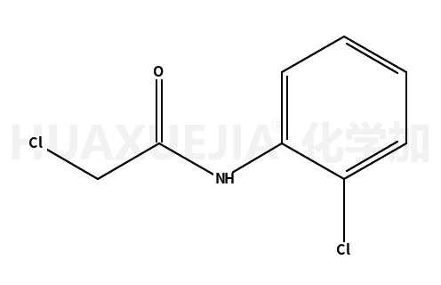 N1-(2-氯苯基)-2-氯乙酰胺