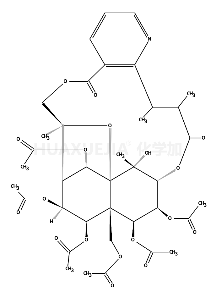 Euonymine