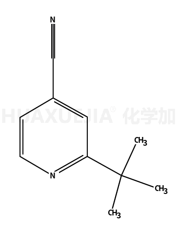 2-叔丁基-4-氰基吡啶