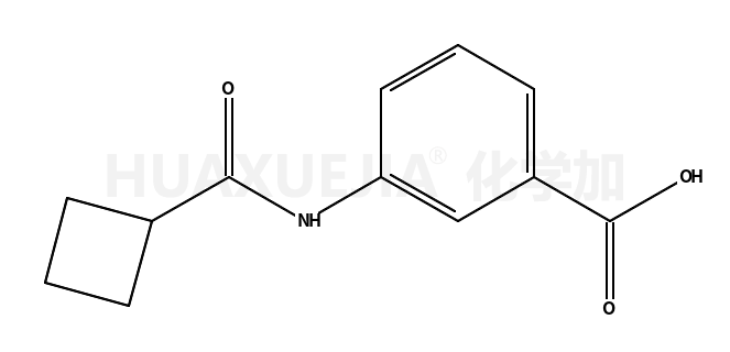 3-[(环丁基羰基)氨基]苯甲酸