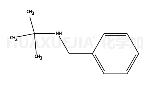 N-叔丁基苄胺