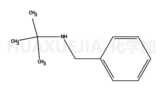 N-benzyl-2-methylpropan-2-amine