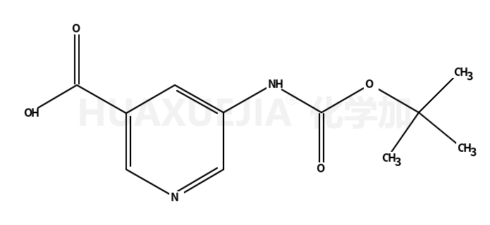 5-叔丁氧羰基氨基吡啶-3-羧酸
