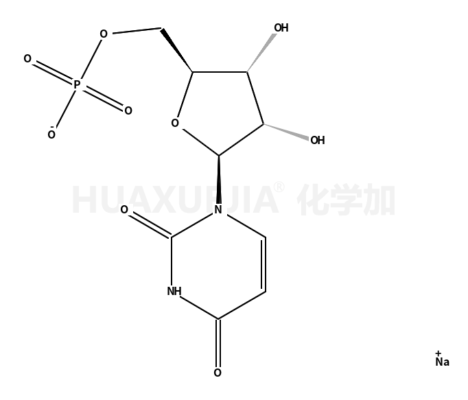 5-尿苷一磷酸二鈉鹽