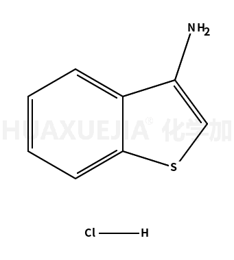 苯并[b]噻吩-3-胺盐酸盐