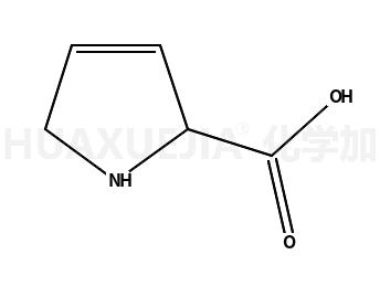 3,4-脱氢-DL-脯氨酸