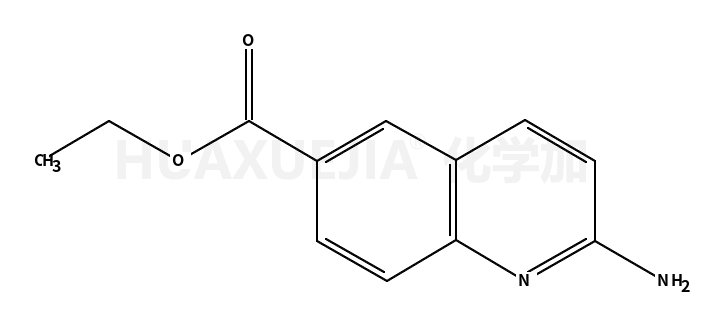 2-氨基-6-喹啉羧酸乙酯