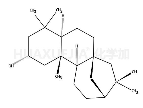 2,16-贝壳杉烷二醇