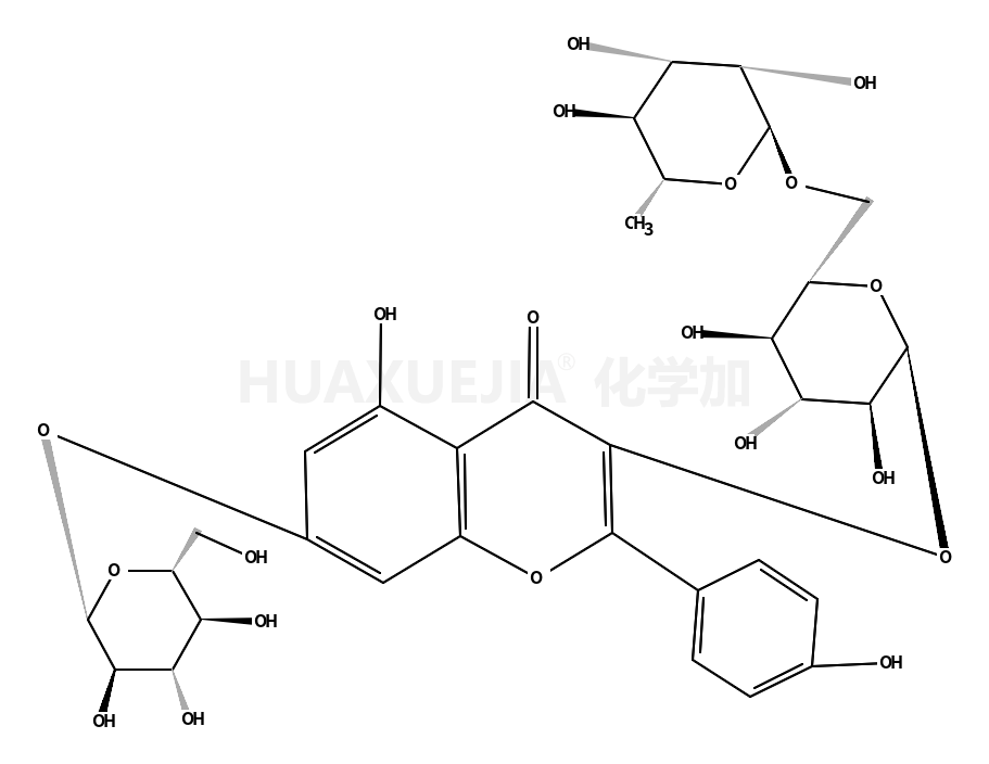 山柰酚-3-O-芸香糖-7-O-葡萄糖苷