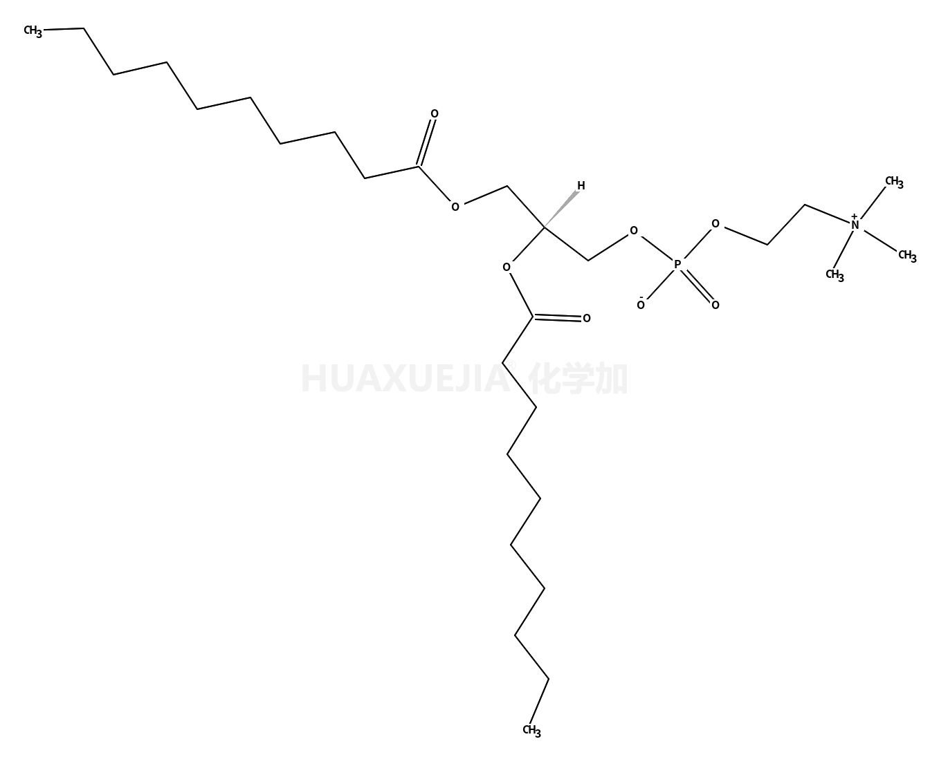 1,2-didecanoyl-sn-glycero-3-phosphocholine