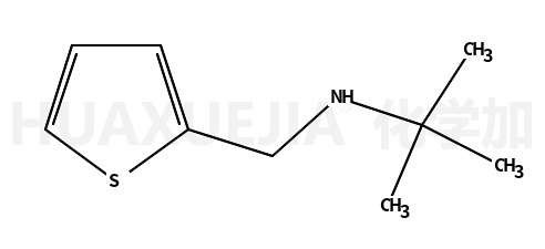 2-甲基-N-（噻吩-2-基甲基）丙-2-胺
