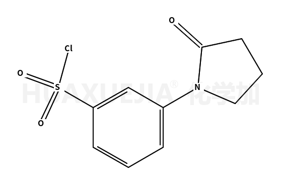 3-(2-氧代吡咯烷-1-基)苯-1-磺酰氯