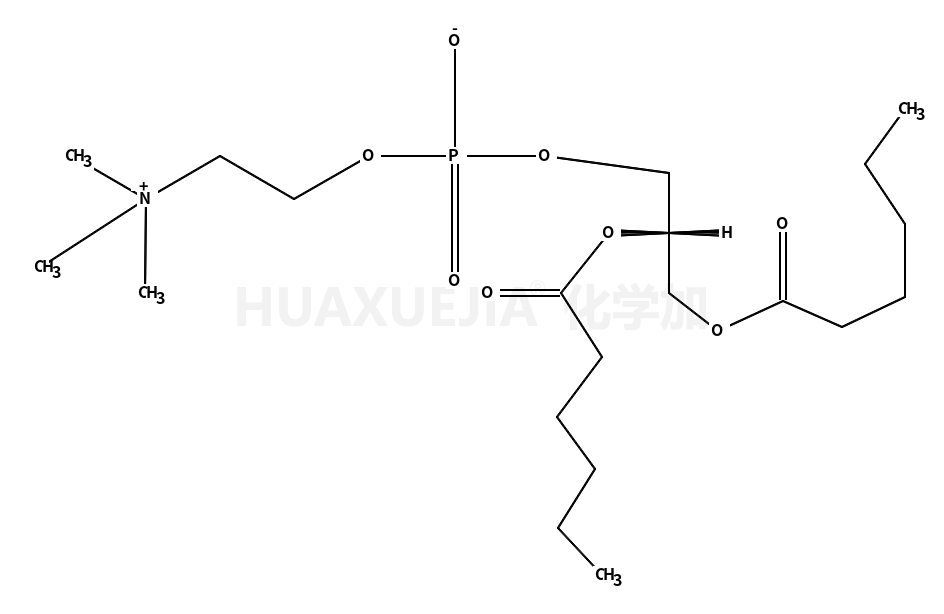1,2-二己酰-Sn-甘油-3-磷酰胆碱