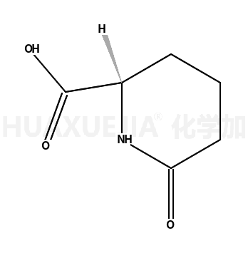 (S)-2-哌啶酮-6-羧酸