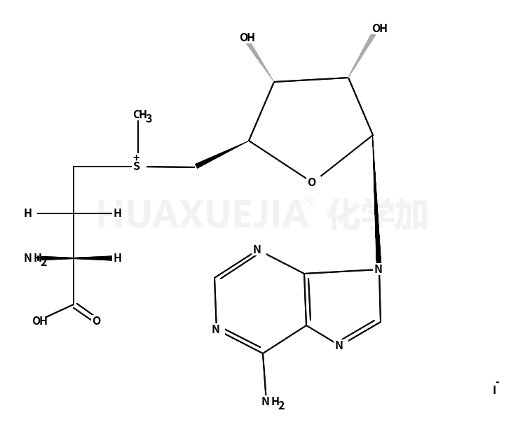 S-腺苷基-L-蛋氨碘盐