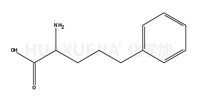 A-氨基苯基戊酸