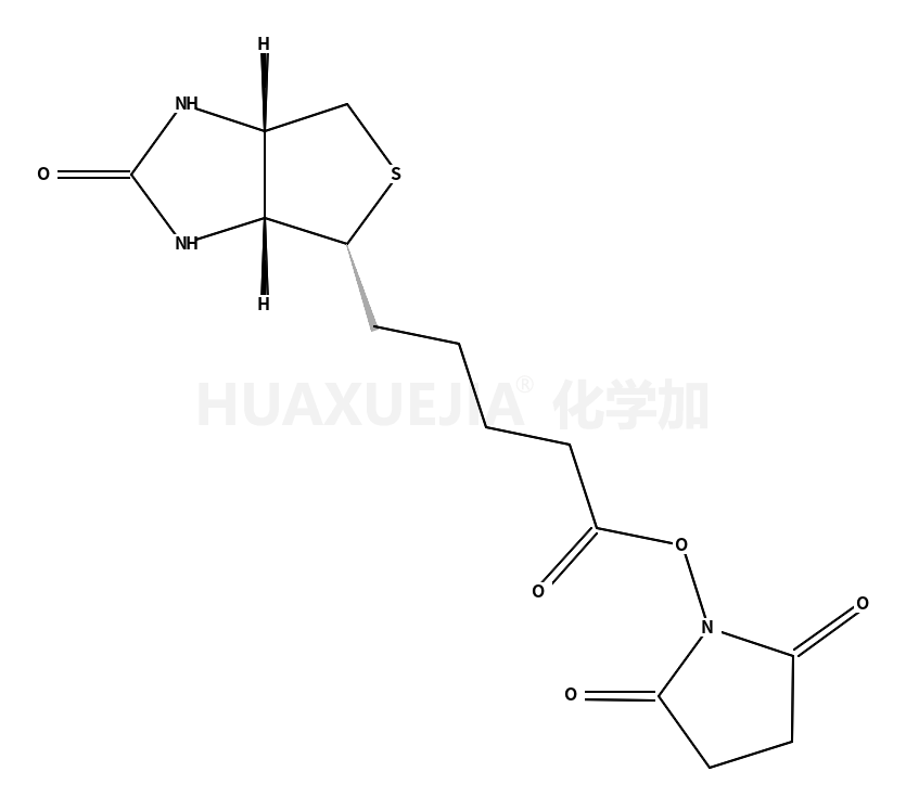 D-Biotin-N-hydroxysuccinimide ester