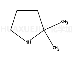 2,2-二甲基吡咯烷