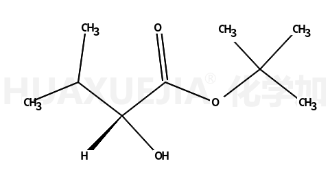 (S)-ALPHA羟基异正戊酸叔丁酯