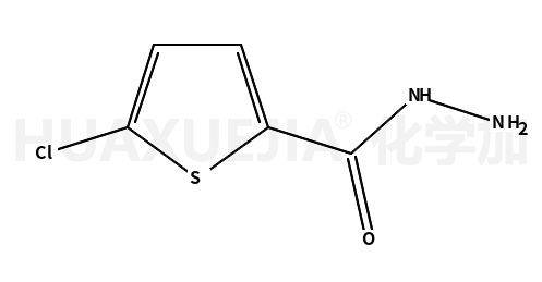 5-氯-2-噻吩甲酰肼