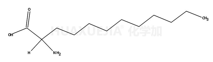 (+/-)-2-氨基十二酸