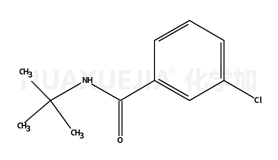 N-叔丁基-3-氯苯甲酰胺
