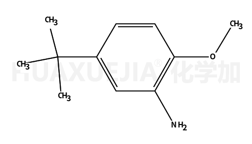 5-叔丁基-2-甲氧基苯胺