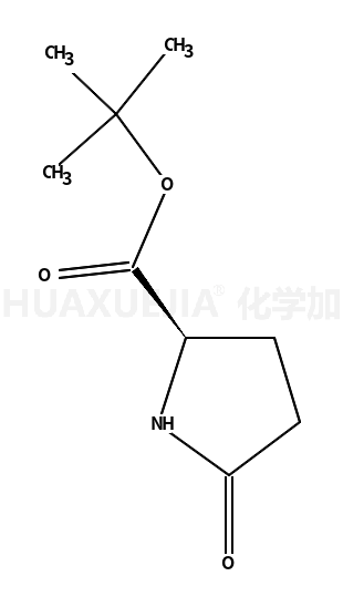 L-焦谷氨酸叔丁酯