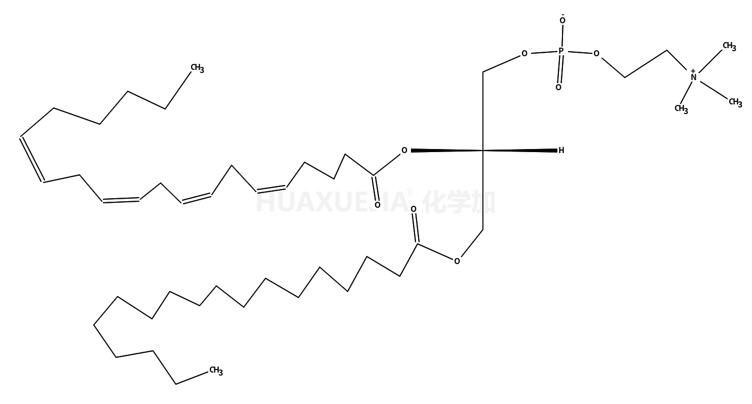 L-α-磷脂酰胆碱-β-花生四烯酰-γ-硬脂酰