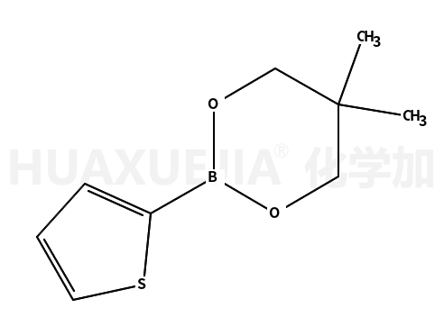 噻吩-2-硼酸新戊二醇酯