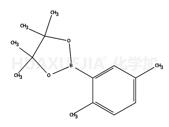 2.5-二甲基苯硼酸频呢醇酯