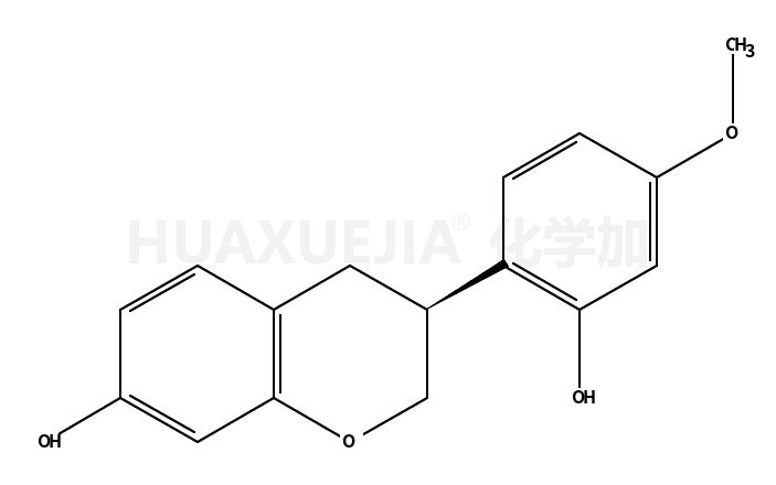 维斯体素