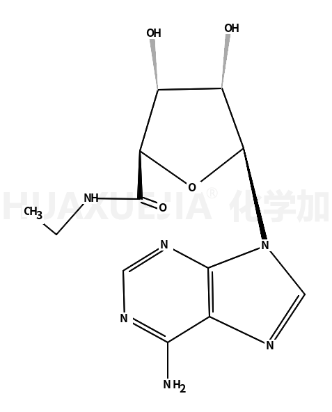 5-N-乙基酰胺基腺苷