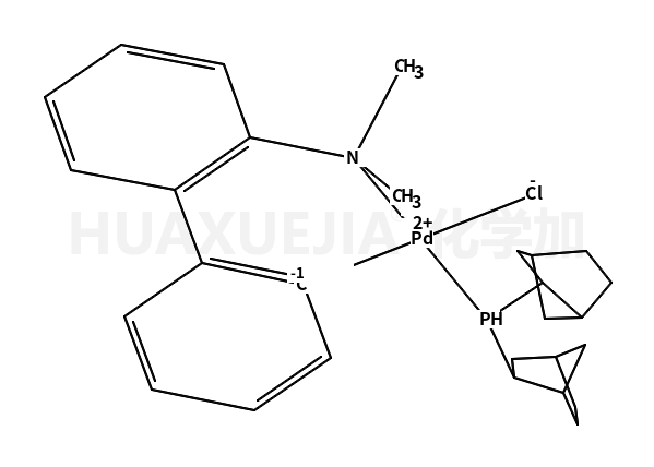 Chloro(di-2-norbornylphosphino)(2'-dimethylamino-1,1'-biphenyl-2-yl)palladium(II),97%