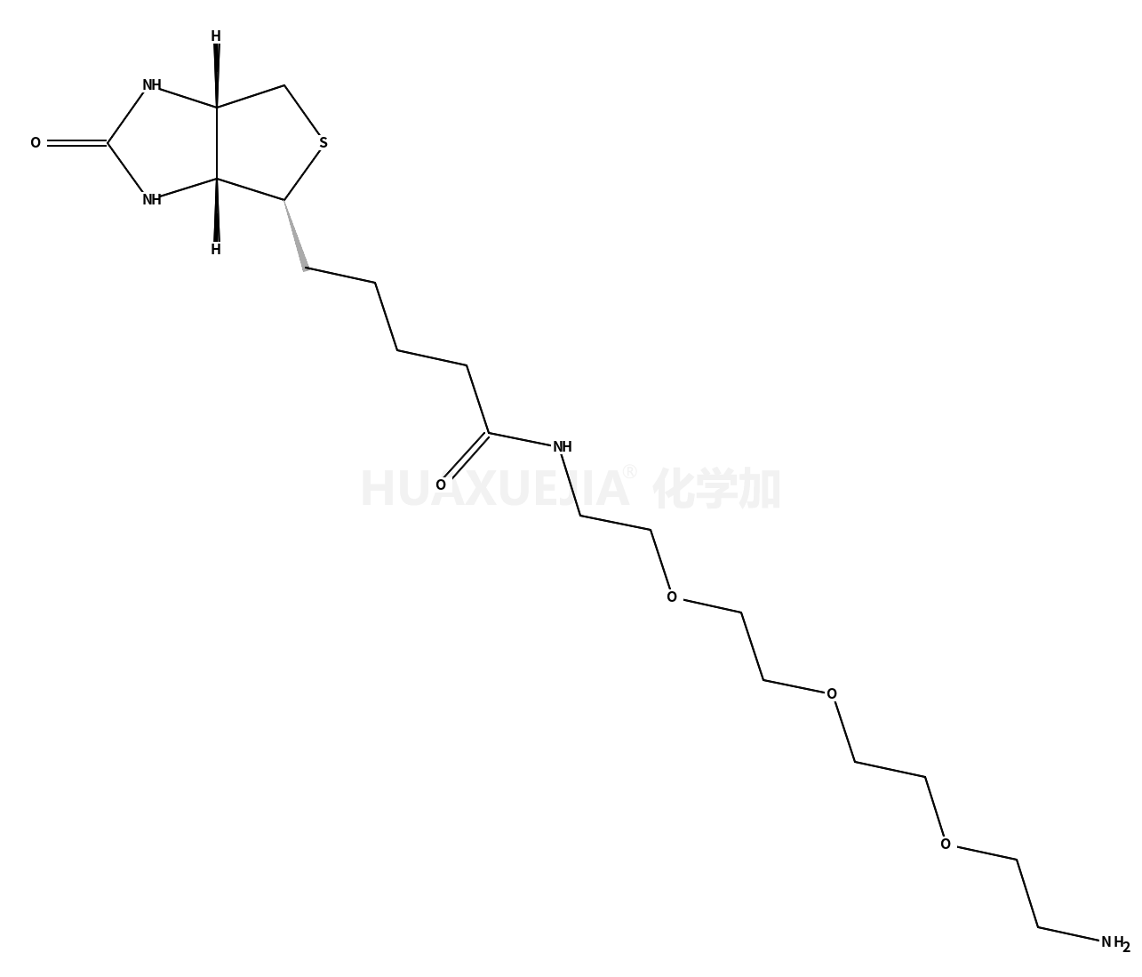 N-生物素-3，6，9-三氧杂十一烷-1，11-二胺