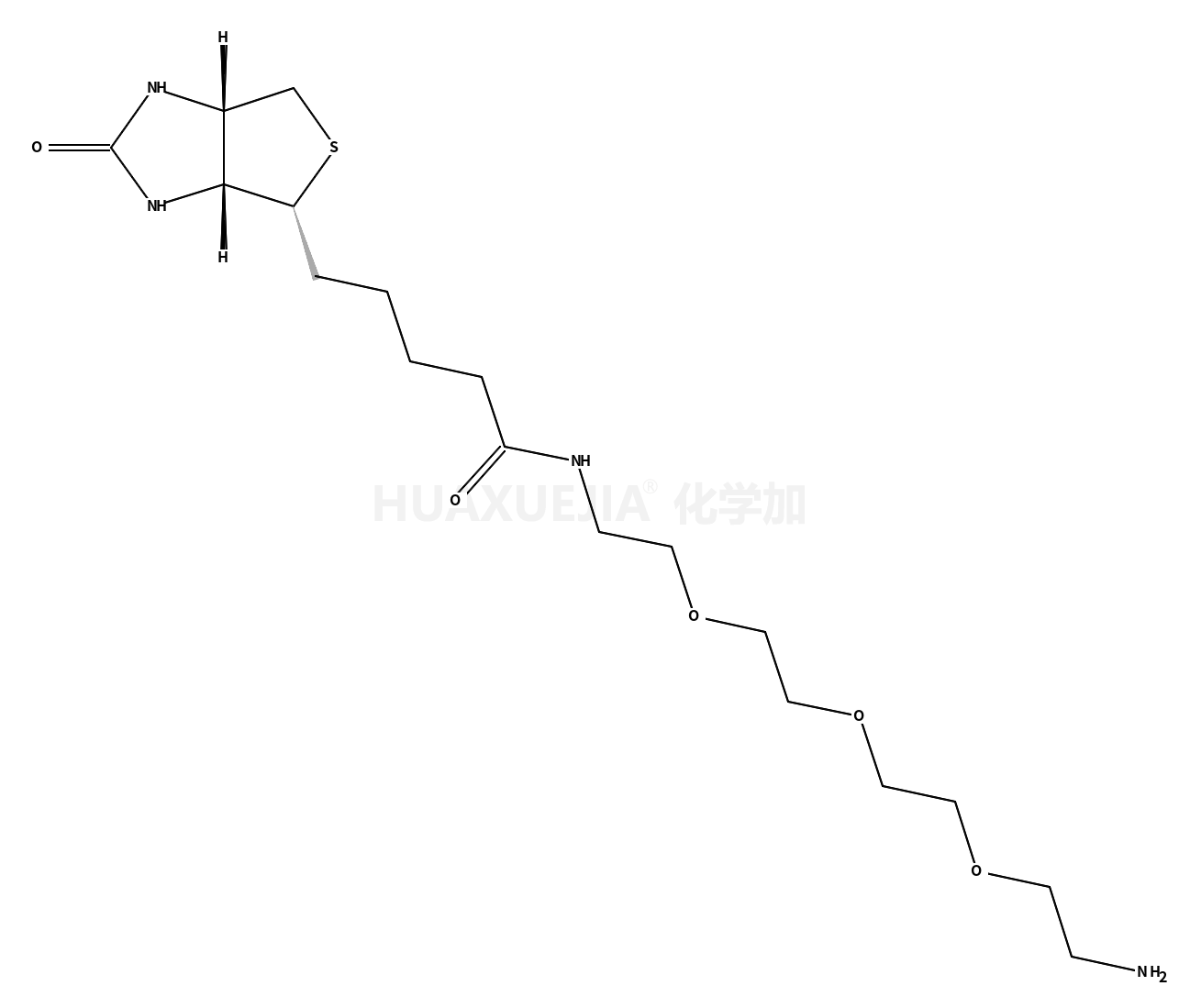 N-[2-[2-[2-(2-aminoethoxy)ethoxy]ethoxy]ethyl]-5-[(4S)-2-oxo-1,3,3a,4,6,6a-hexahydrothieno[3,4-d]imidazol-4-yl]pentanamide