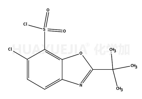 2-叔丁基-6-氯苯并噁唑-7-磺酰氯